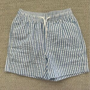 Crewcuts Blue and White Striped Swim Trunks